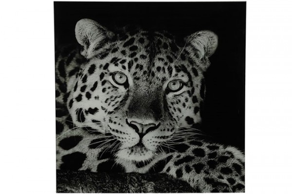 Gemälde Leopard Wildlife, Schwarz, large von Decostar