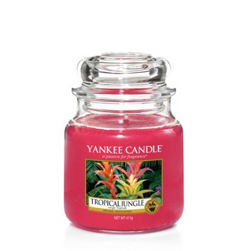 Tropical Jungle von Yankee Candle